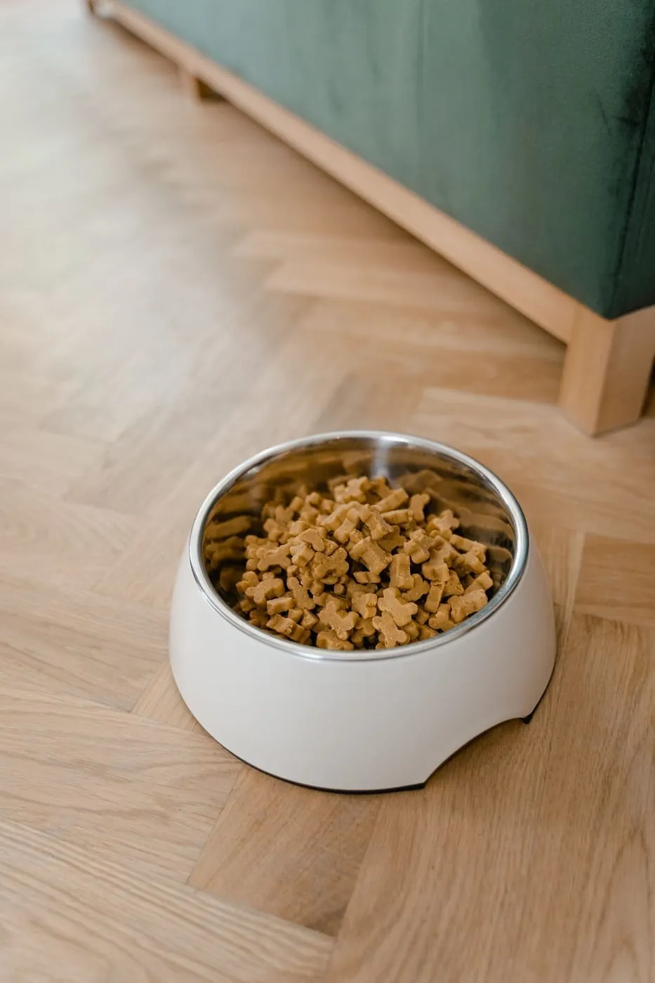 Small Apartment Pet Supply Organization