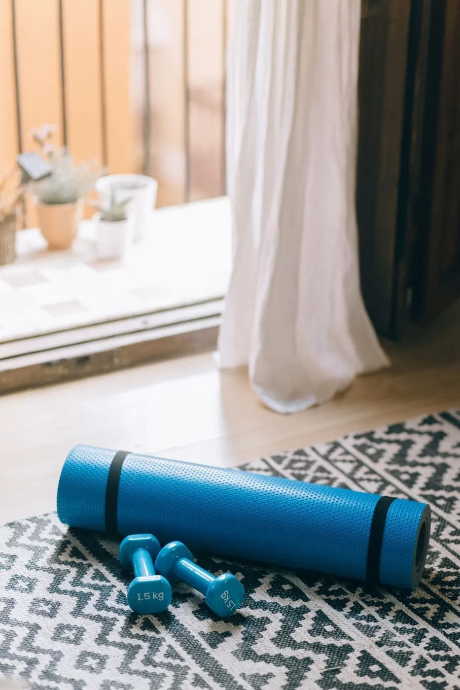 Small Apartment Home Gym Storage Ideas