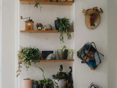 No-Damage Command Strip Decorating Hacks