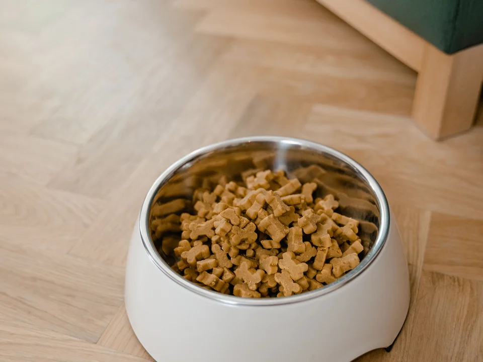 Small Apartment Pet Supply Organization