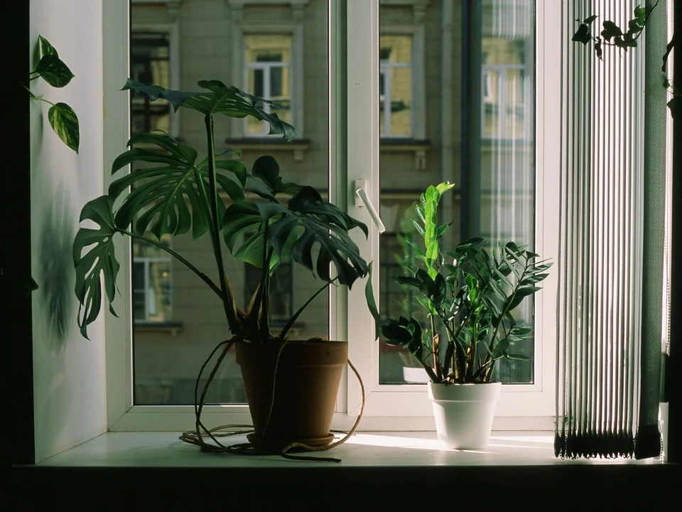 Small Apartment Balcony Ideas (Renter-Friendly)