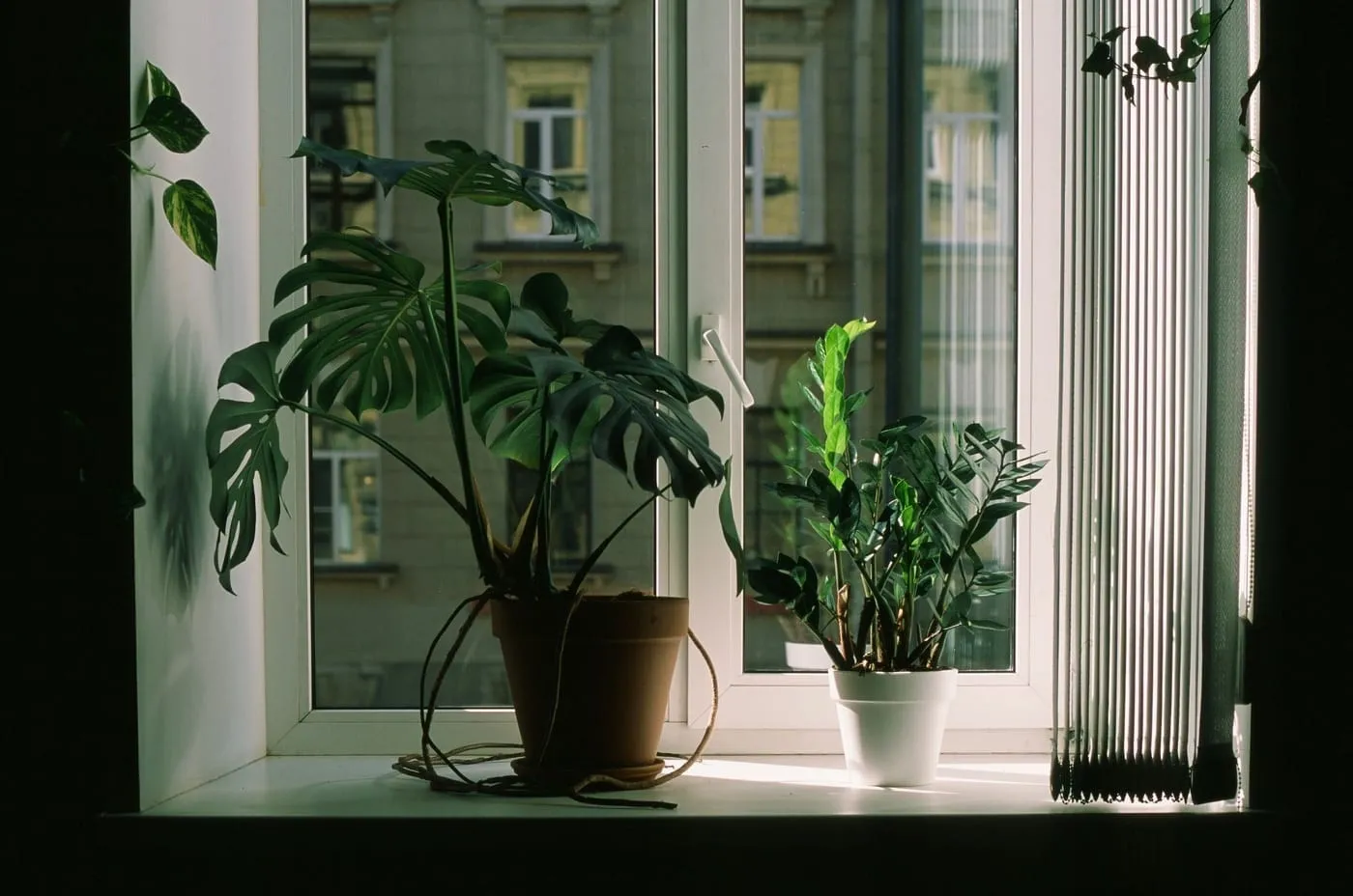 Small Apartment Balcony Ideas (Renter-Friendly)